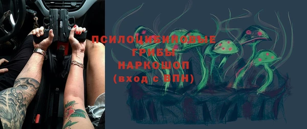 эйфоретик Богданович