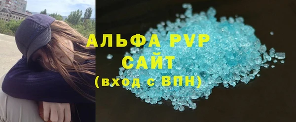 эйфоретик Богданович