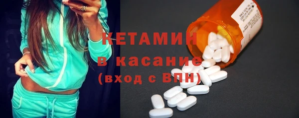 индика Бородино