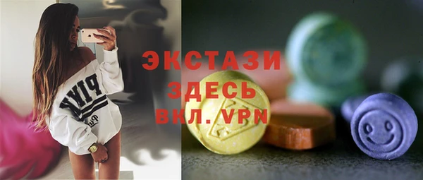 индика Бородино
