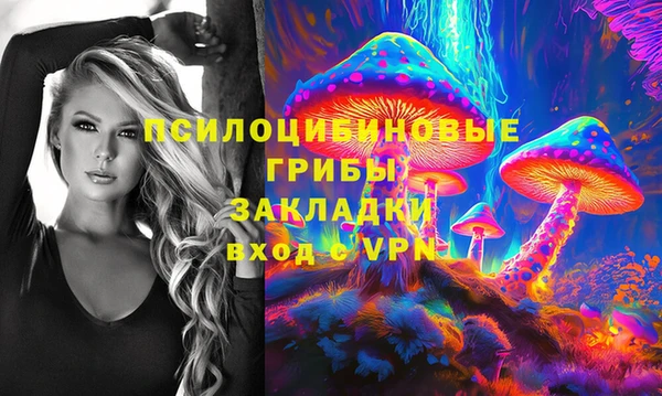 эйфоретик Богданович