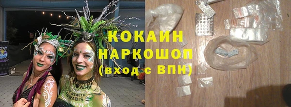 эйфоретик Богданович