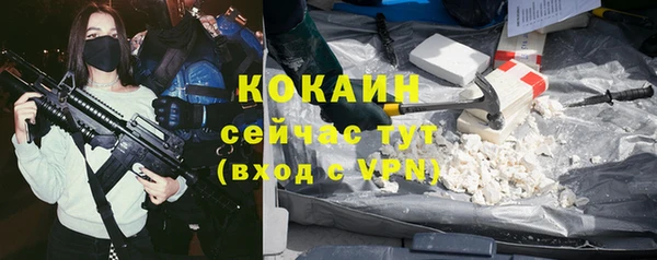 эйфоретик Богданович