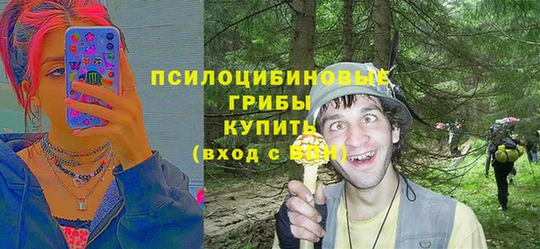 2c-b Богородицк
