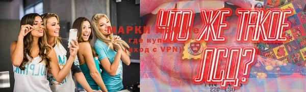 эйфоретик Богданович