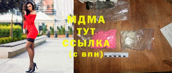 индика Бородино