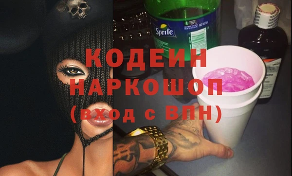 индика Бородино